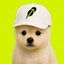 Coin Icon