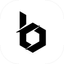 Coin Icon