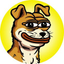 Coin Icon
