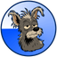 Coin Icon