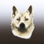 buhund