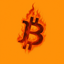 Coin Icon