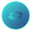 Coin Icon