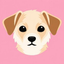 Coin Icon