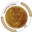 CNV