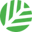 CNPY