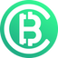 Coin Icon