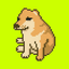 CASHDOG