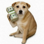Coin Icon