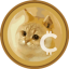 Coin Icon