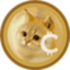 Coin Icon