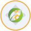Coin Icon