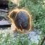 Coin Icon