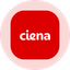 Coin Icon
