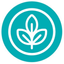 Coin Icon