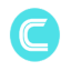 Coin Icon