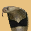 Coin Icon