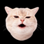 Coin Icon