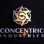 Coin Icon