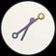 Coin Icon