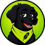 Coin Icon