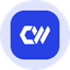 Coin Icon