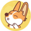 corgiswap