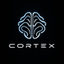 Coin Icon