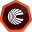 Coin Icon