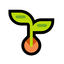 Coin Icon