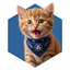 CROCAT