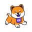 cxcoin