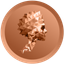 DVO