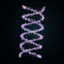 DNA