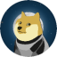 DOGE1