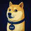 Coin Icon