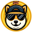 Coin Icon