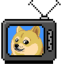 doge-tv