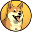 DOGE20