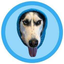 Coin Icon