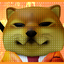 Coin Icon