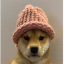 DOGWIFHAT