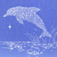 Coin Icon
