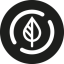 Coin Icon