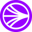 Coin Icon