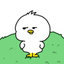 Coin Icon