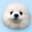 Coin Icon