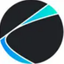 Coin Icon