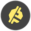 Coin Icon