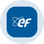 Coin Icon